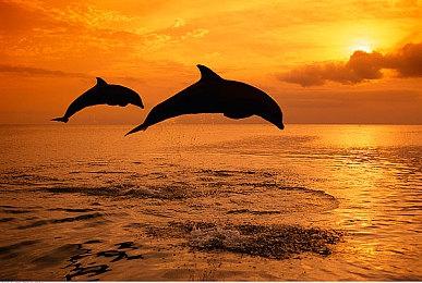 复古风回合制策略角色扮演游戏《边境谷骑士》现已上线Steam平台